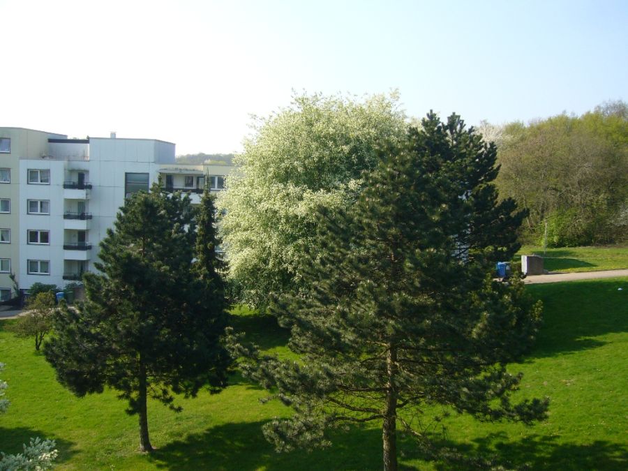 EIGENTUMSWOHNUNG HILDESHEIM TROCKENER KAMP
